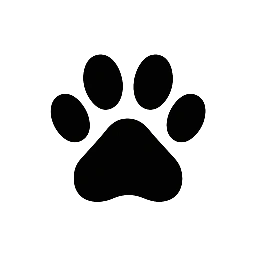 Cats And Dogs